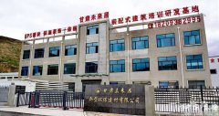 <strong>不只创制了优良的</strong>